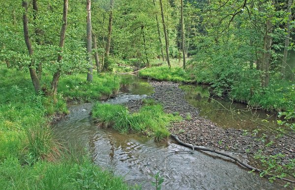 DeDas renaturierte Hevetal gehört als Teil des Arnsberger Waldes zu den Naturschätzen im südlichen Teil des Kreisgebietes (J. Drüke)