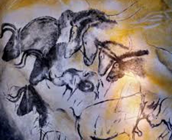 Vorbilder für die Zucht der Taurus-Rinder bei der ABU sind steinzeitlichen Höhlenbilder aus ganz Europa