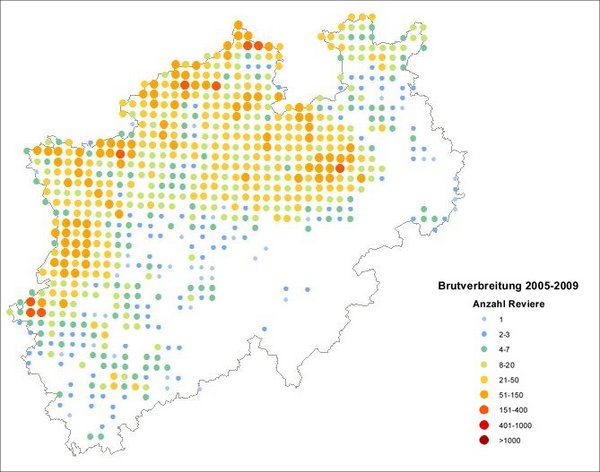 Verbreitung des Kiebitzes in NRW (NW-O 2013)